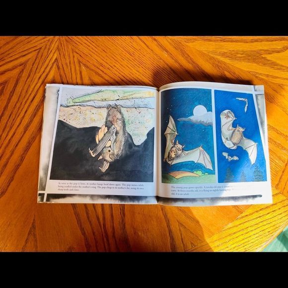 Bats 🦇 By Gail Gibbons - Picture 11 of 13